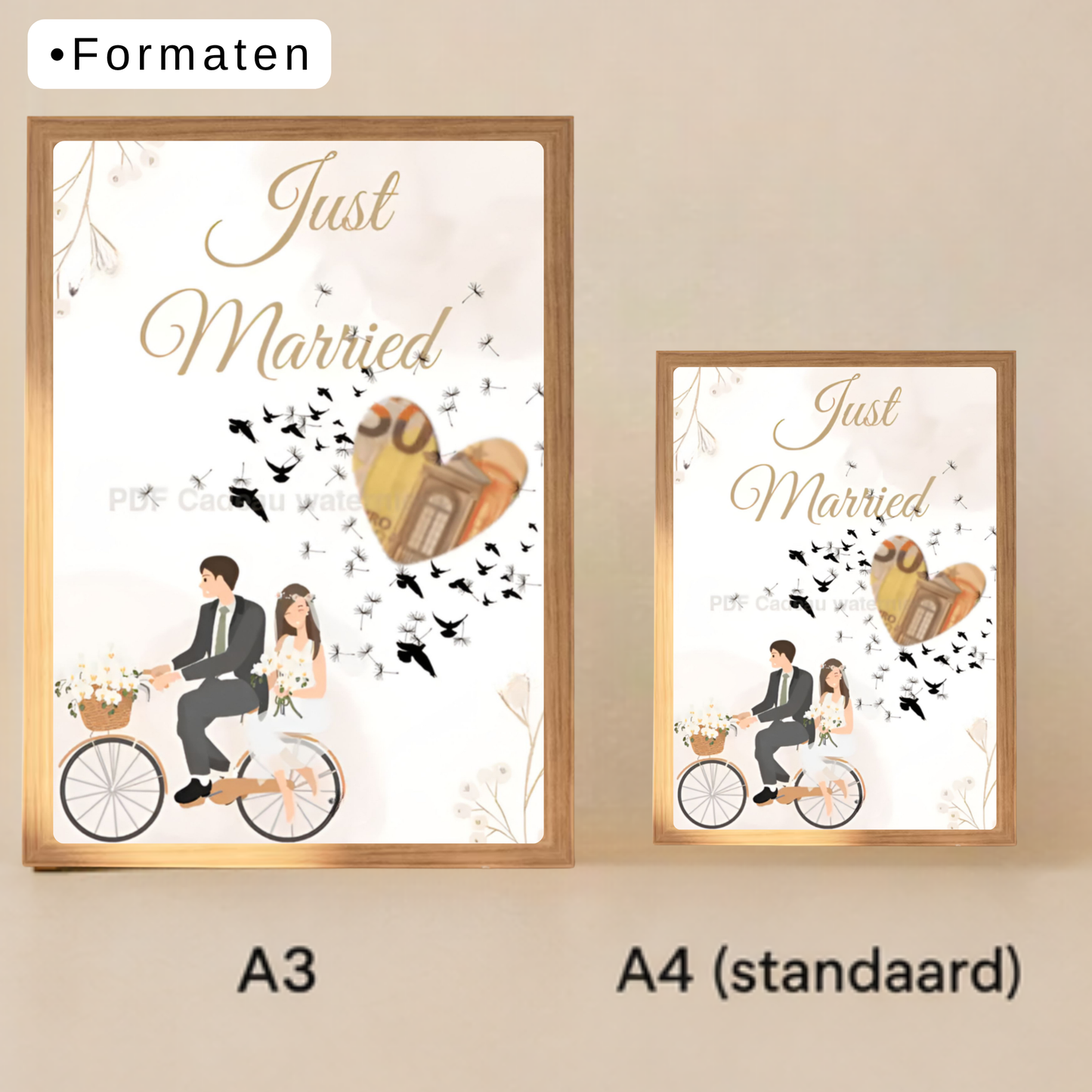 Just Married cadeau met geld in lijst